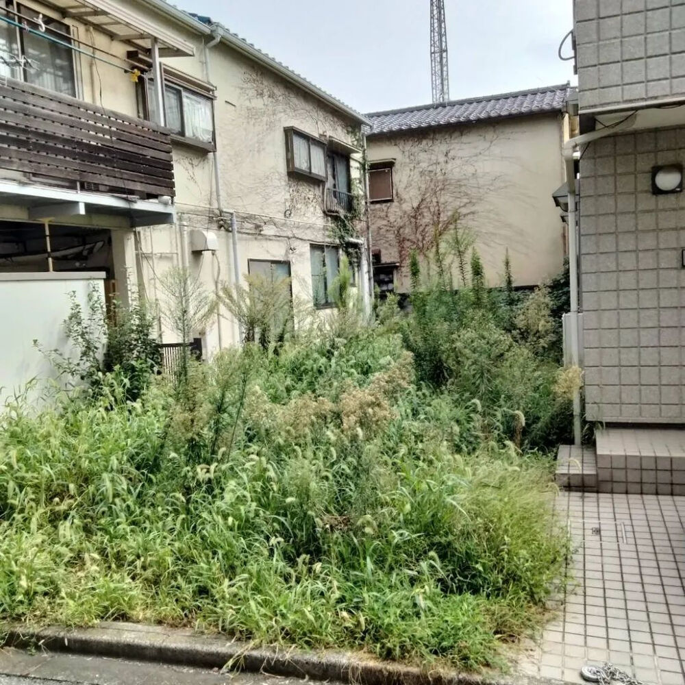 ブログ画像