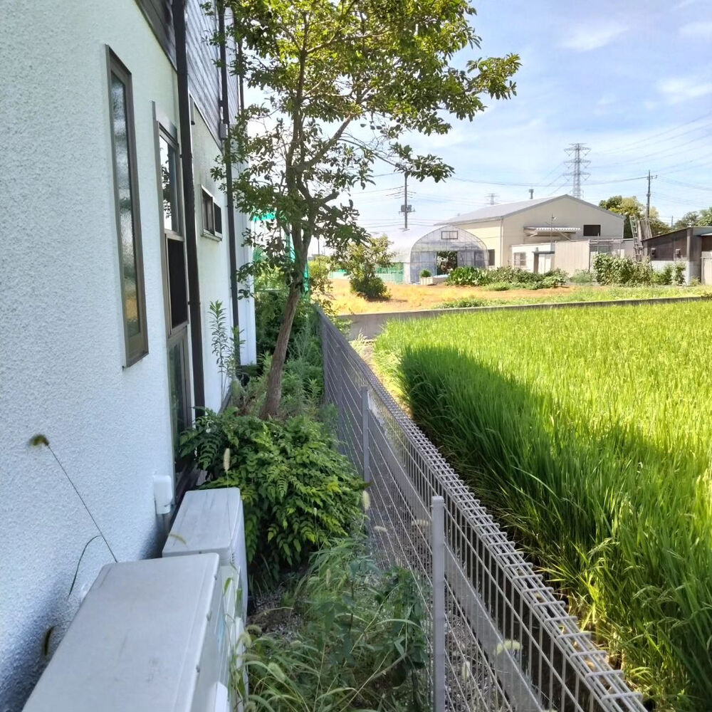 ブログ画像